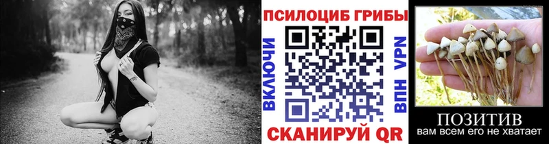 Галлюциногенные грибы Magic Shrooms Воронеж