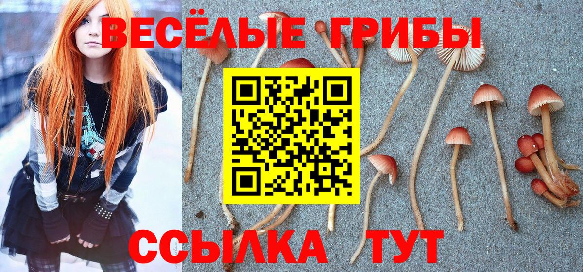 Псилоцибиновые грибы Psilocybine cubensis  Воронеж  дарнет шоп  Псилоцибиновые грибы Cubensis 