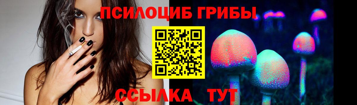 Псилоцибиновые грибы Cubensis  Вход с VPN  Воронеж 
